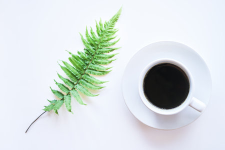 Top view of dark hot coffee in white coffee cup with green fern leaves on white background, Minimal style concept.の写真素材