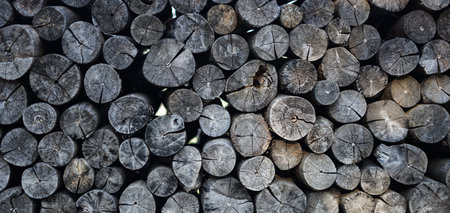 Background of wood logs. The texture of the wood. Firewood.の写真素材