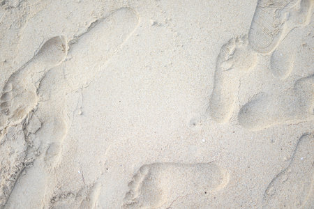 Footprints in the sand on the beach, closeup of photoの写真素材