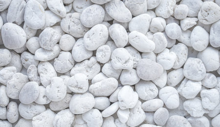 White pebbles background. White pebbles texture background.の写真素材