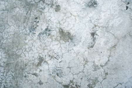 Grunge cement wall texture background. Floor surface with cracks.の写真素材