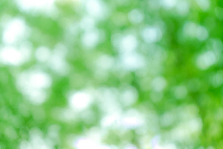 green bokeh background from nature under tree shade,green bokeh backgroundの写真素材