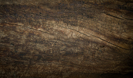 Old wood texture background. Floor surface. Floor surface. Floor surfaceの写真素材