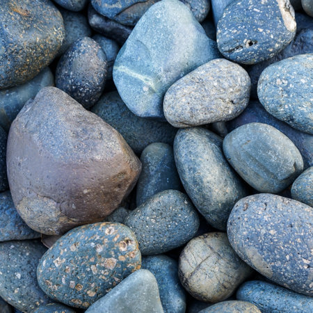 Colorful pebbles background. Close up of sea pebbles.