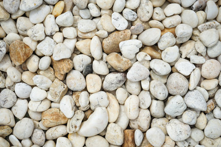 White pebbles background. Small stones background. Close up.の写真素材