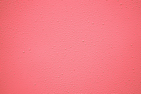 Water drops on pink background. Water droplets on red background.の写真素材