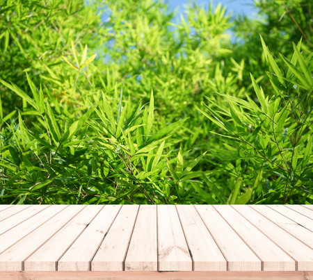 Wood table top on blur green bamboo forest background - can be used for display or montage your productsの写真素材