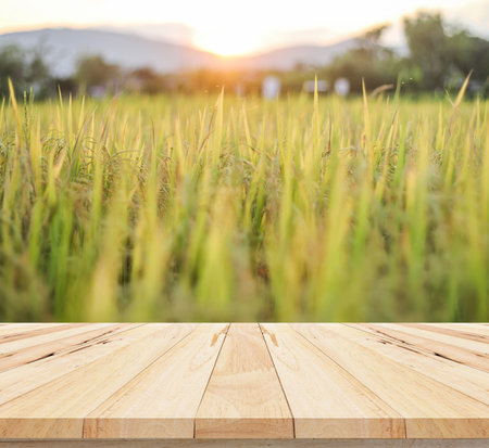 Wood table top on rice field background - can be used for display or montage your productsの写真素材