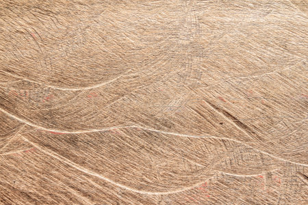Old wood texture background. Floor surface with old natural pattern. Floor surfaceの写真素材