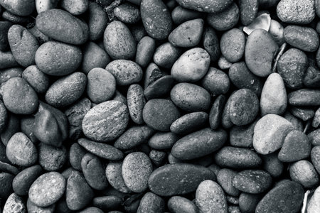 Pebble stone background. Black and white pebbles.の写真素材