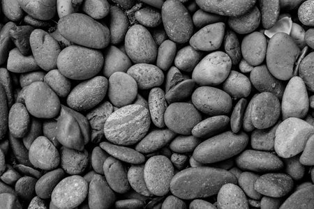 Black and white pebbles background. Abstract background for design.の写真素材