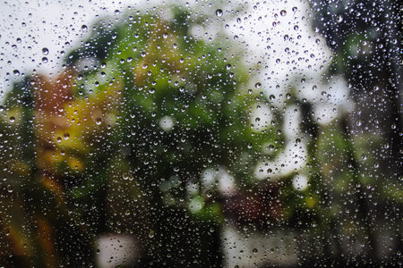 rain drop on window glass with blur green tree background in rainy seasonの写真素材