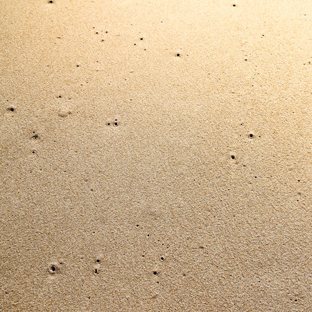 beach and tropical sea - sand and sand background with small footprintsの写真素材