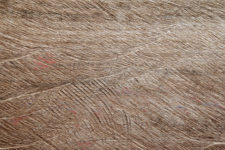 Old wood texture background. Floor surface with old natural pattern or old wood texture backgroundの写真素材