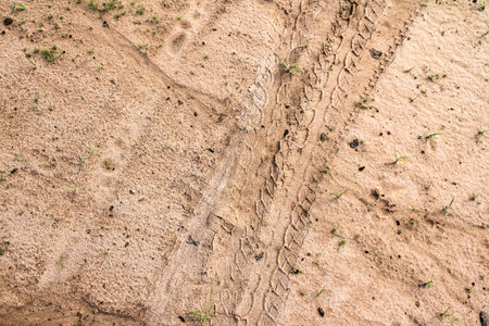 Wheel tracks on the soil, nature background, tire tracks on the soilの写真素材