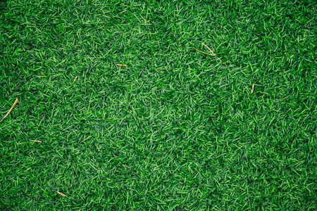 Green grass texture and background for golf course or football field. Top view.の写真素材