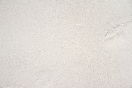 Sand texture background for design with copy space for text or image.の写真素材