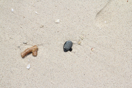 Stones on the sand of the beach, closeup of photoの写真素材