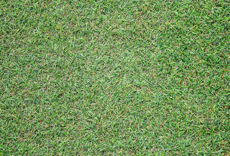 Golf Courses green lawn pattern textured background and wallpaper.の写真素材