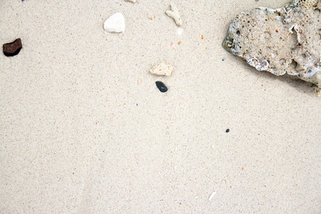 beach sand and rock background with copy space for text or imageの写真素材