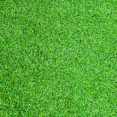 Green grass texture background. Green grass pattern and texture for golf course.の写真素材