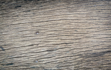 Old wood texture background. Floor surface. Floor surface. Wood textureの写真素材