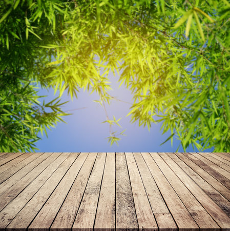 Wooden floor with bamboo tree and blue sky background, product display montageの写真素材