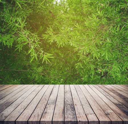 Wood table top on blur green nature background - can be used for display or montage your productsの写真素材