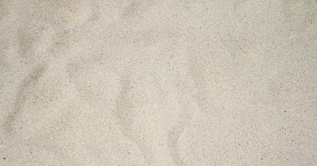 Sand texture background. Close up of beach sand texture. Sand backgroundの写真素材