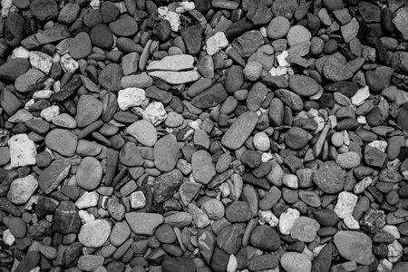 Black and white pebbles background. Close up of pebbles.の写真素材