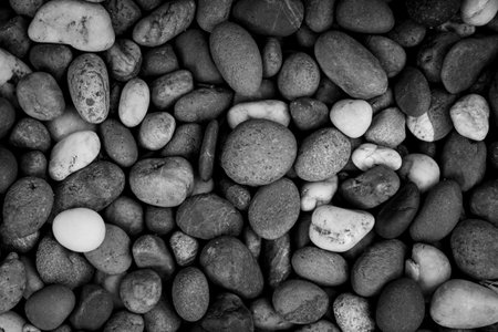 pebble stone texture background, black and white color tone.の写真素材