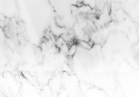 White marble texture background pattern with high resolution. Black and white.の写真素材