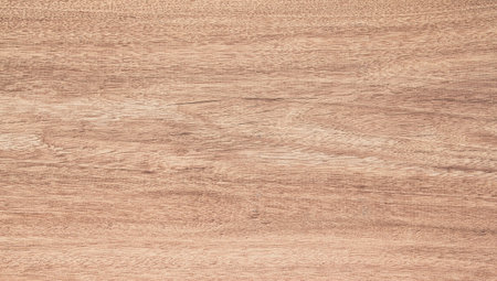 Wooden texture. Lining boards wall. Wooden background. pattern. Showing growth ringsの写真素材