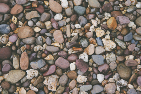 Pebbles on the beach, close-up, background.の写真素材