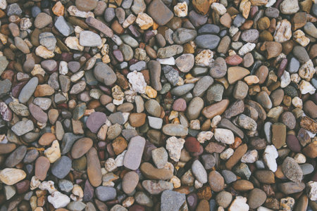Pebbles background. Colorful pebbles background. Top view.