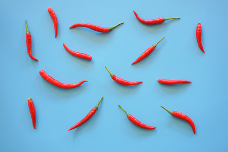 Red chili peppers on blue background. Flat lay, top view.の写真素材