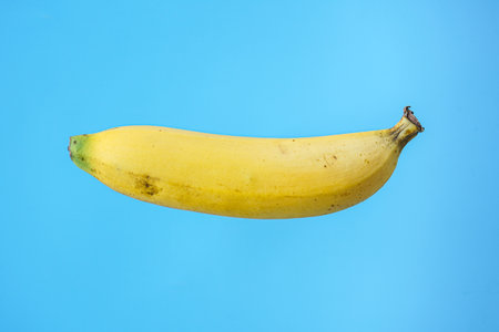 Banana isolated on blue background with copy space for your text.の写真素材