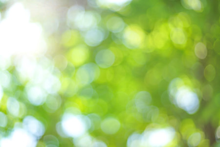 green bokeh background from nature under tree shade,green bokeh backgroundの写真素材