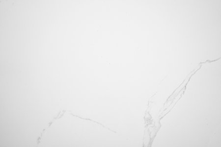 White marble texture background pattern with high resolution. Black and white.の写真素材