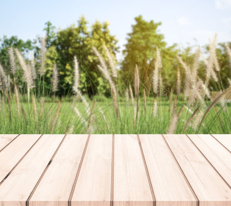 Wood table top on blur grass field background - can be used for display or montage your productsの写真素材