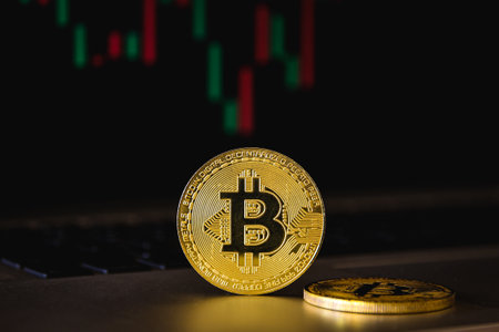Golden bitcoin on the background of the monitor of a computer monitor.の写真素材