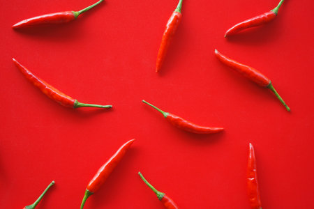 Red hot chili peppers on red background. Top view. Flat lay.の写真素材
