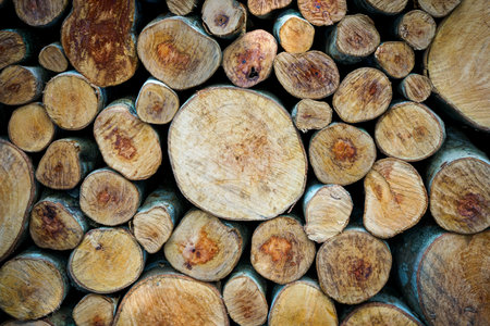Background of chopped firewood logs stacked in a pile. Firewood textureの写真素材