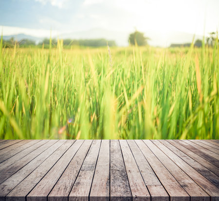 Wooden table on rice field background. Vintage tone filter effect color style.の写真素材