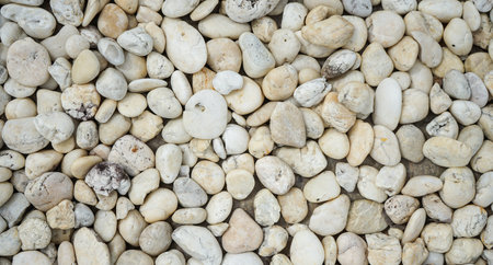 White pebble stone texture background for design with copy space for text or image.の写真素材