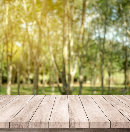 Wooden table top on blur forest background - can be used for display or montage your productsの写真素材