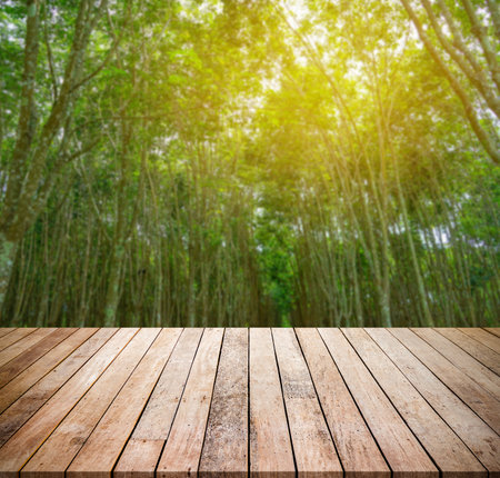 Empty wooden table and bamboo forest background, product display montage.の写真素材