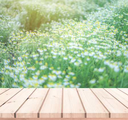 Wood table top on blur chamomile field background - can be used for display or montage your productsの写真素材