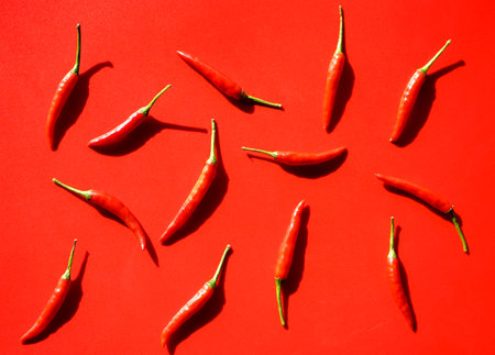 Red hot chili peppers on red background. Flat lay, top viewの写真素材