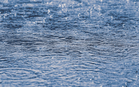 Rain drops on the surface of the water. Abstract background for design.の写真素材